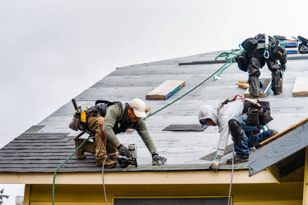 Professional Roof Replacement technician working in Long Beach, IN